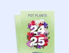 potplants 