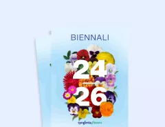 Bienniali 2024-2026