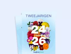 TWEEJARIGEN 2024-2026