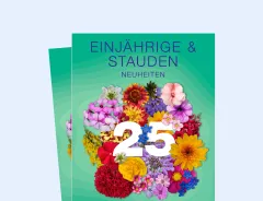 Einjährige & Stauden