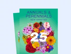 Annuals Perennials