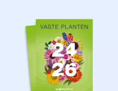 Vaste planten