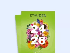 Stauden