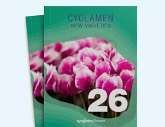 Cyclamen 2026 EN
