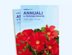 Annuali 2026 - 2028