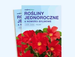 Rośliny jednoroczne 2026 - 2028