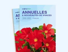 Annuelles 2026 - 2028