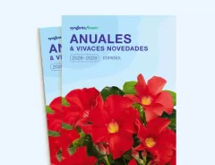 Anuales 2026 - 2028