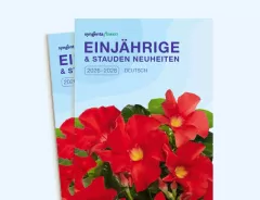 Einjährige 2026 - 2028