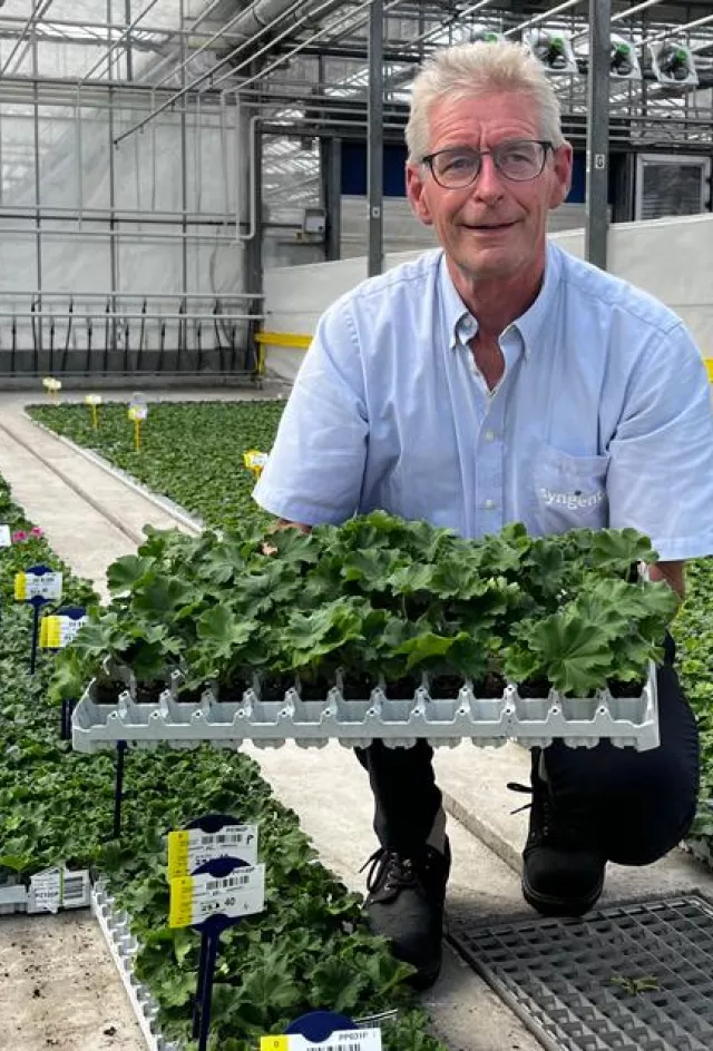 Peat Free young plant production