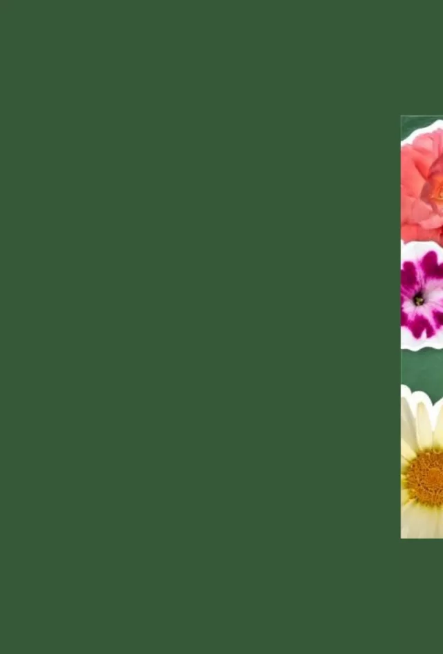 FlowerTrials