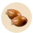 Seeds