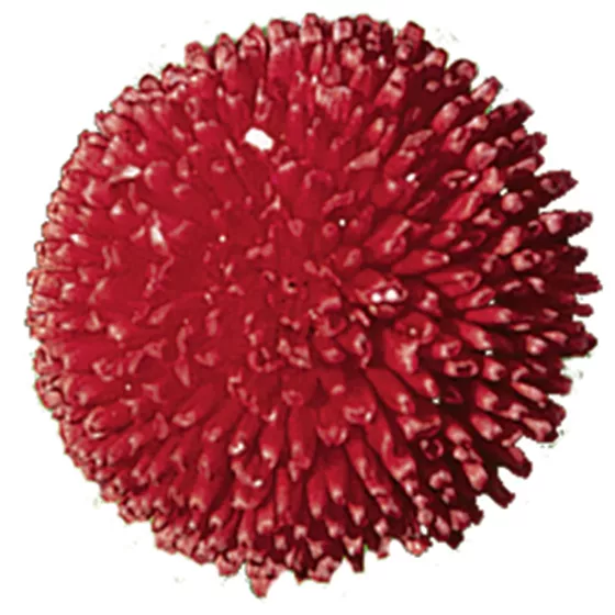 Planet Red