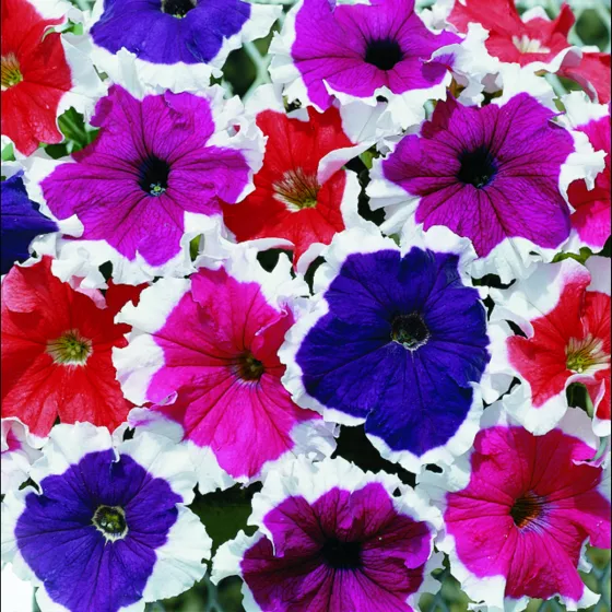 Frost Mix