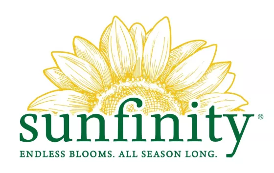 Sunfinity® Bicolor Yellow/Red