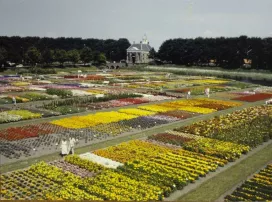1956
