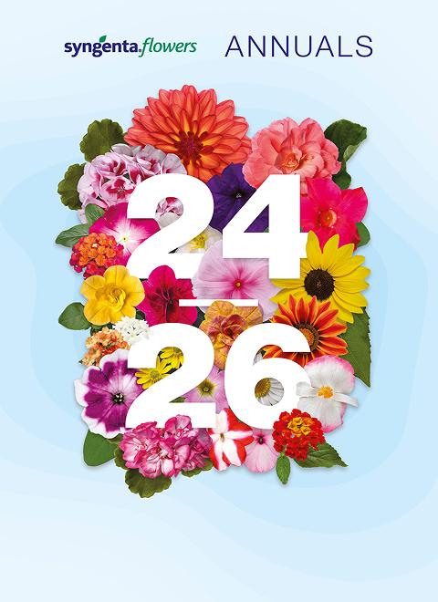 Paradiso Late Mix | Syngenta Flowers