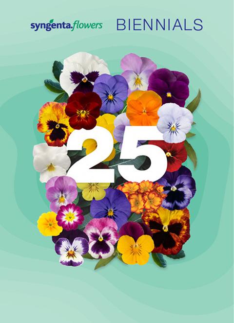 Collection La Tour | Syngenta Flowers