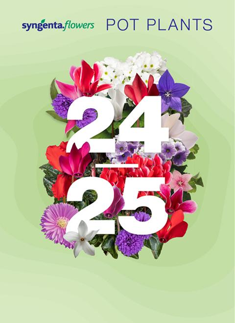 Clockwise Compact Deep Blue | Syngenta Flowers