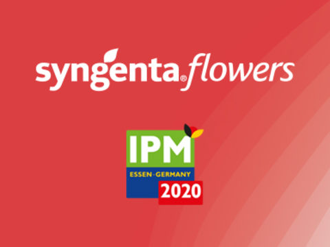 Syngenta Flowers IPM 2020