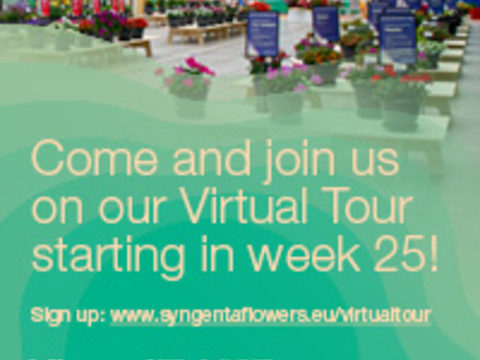Syngenta Flowers Virtual Tour