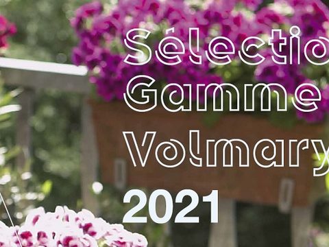 Sélection Gamme Volmary 2021