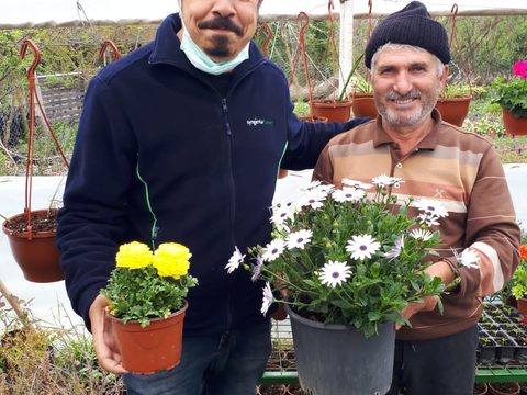 Can Erol holding Ranunculus Magic and grower hold Osteospermum Asti