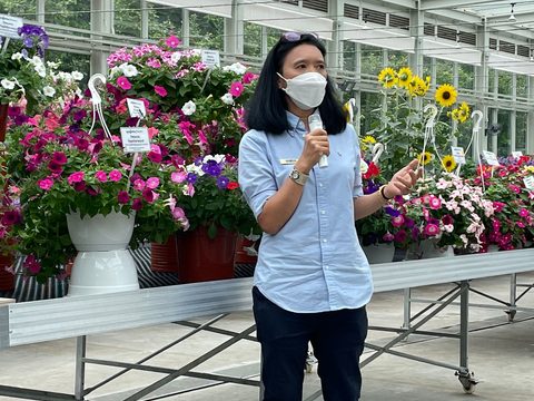 Jessica Suwanprapa showing stunning genetics in a hot greenhouse