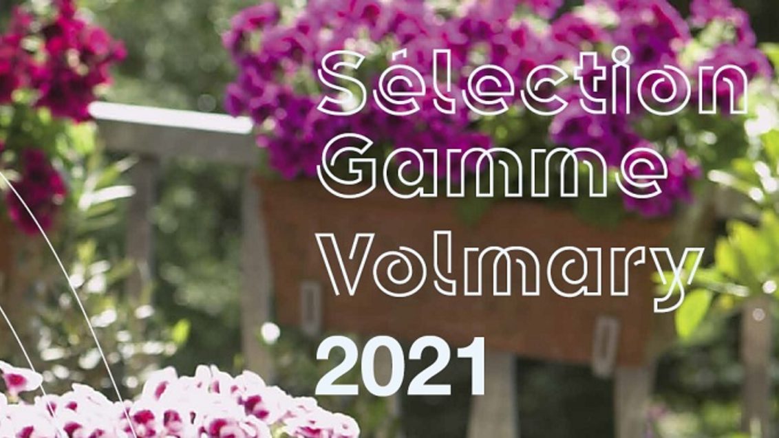 Sélection Gamme Volmary 2021
