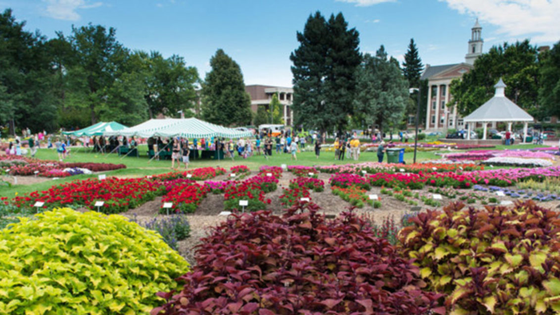 CSU Trial garden