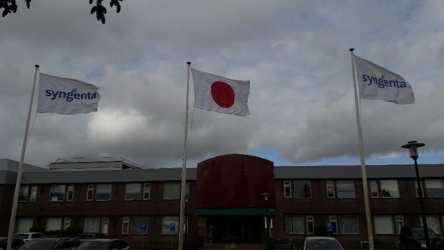 Japanese flag in front of Syngenta site Enkhuizen