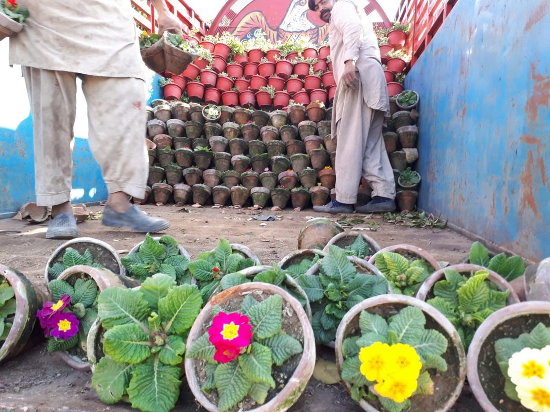 Transportation of potted flowers in India