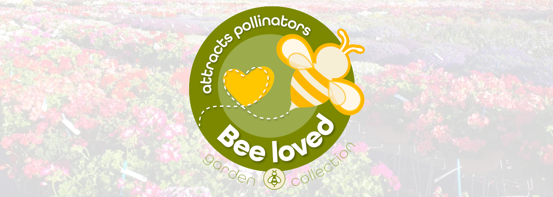 Bee Loved - Pollinator Friendly Assortment