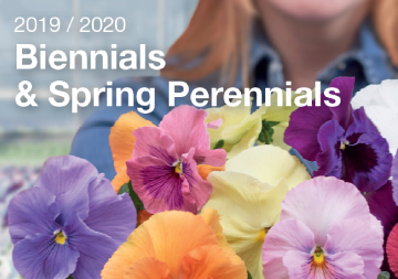 Biennials and Spring Perennials catalogue
