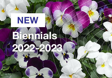 Biennials 2022-2023
