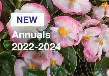Annuals 2022-2024