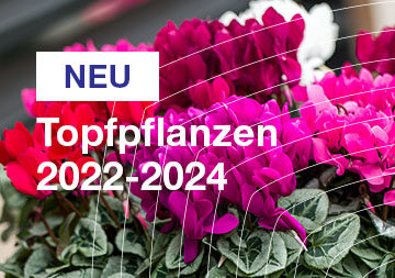 Topfpflanzen 2022/2024