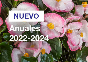 Anuales 2022/2024