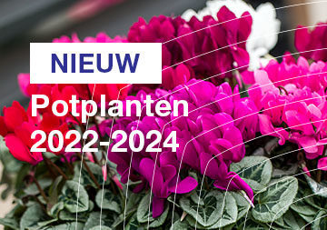 Potplanten 2022/2024