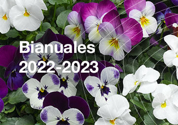 Bianuales 2022/2023