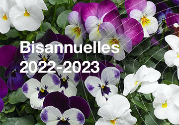 Bisannuelles 2022/2023