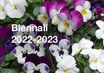 Biennali 2022/2023