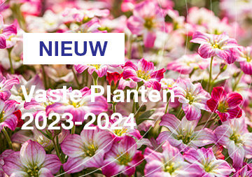 NL Vaste Planten