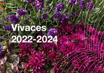 Vivaces 2022/2024