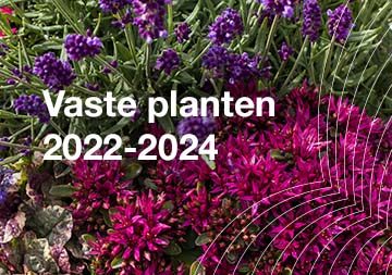 Vaste planten 2022/2024